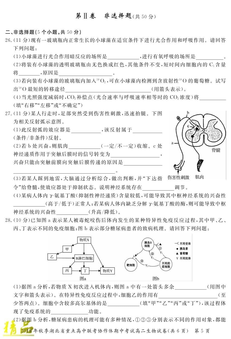 湖北省重点高中2019_2020学年高二生物上学期期中联考试题_第5页