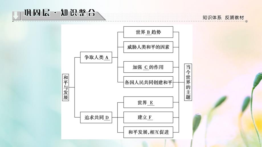 2018版高中历史 专题6 和平与发展——当今世界的时代主题专题分层突破课件 人民版选修3_第2页