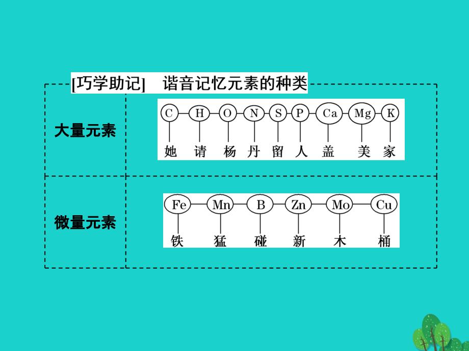 练酷版2017版高考生物一轮复习 第一单元 细胞及其分子组成 第2讲 细胞中的元素及无机化合物课件（必修1）_第3页