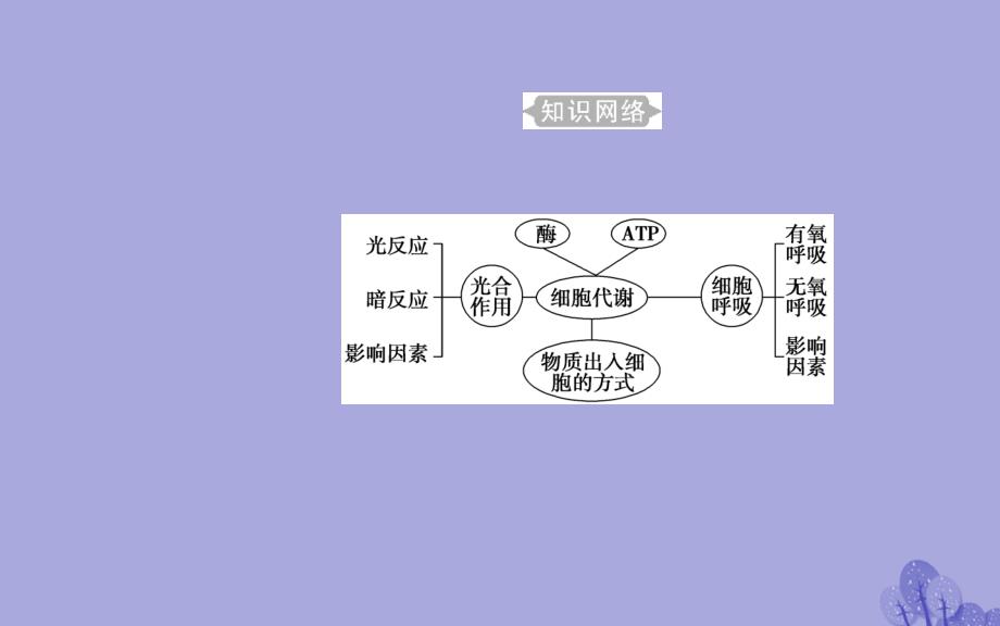 2017-2018年高考生物 专题三 细胞代谢 考点1 物质出入细胞的方式课件_第3页