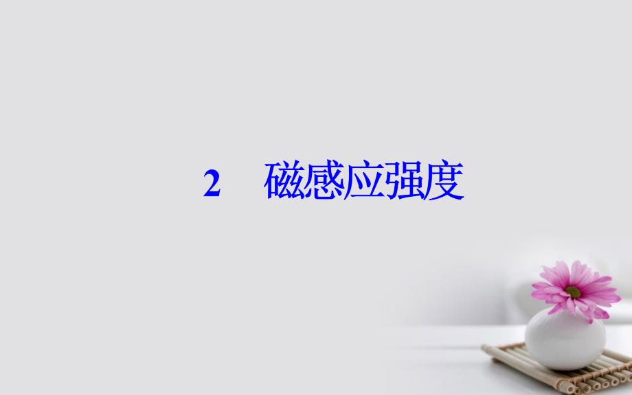 2017-2018学年高中物理 第三章 磁场 2 磁感应强度课件 新人教版选修3-1_第2页