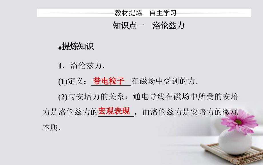 2017-2018学年高中物理 第三章 磁场 5 运动电荷在磁场中受到的力课件 新人教版选修3-1_第4页