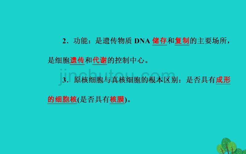 2017-2018年高考生物 专题二 细胞的结构 考点5 细胞核的结构和功能课件_第4页