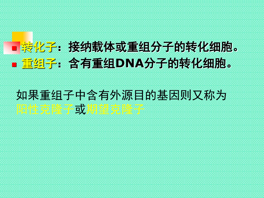 基因生物工程第六节重组体的筛选与鉴定原则_第2页