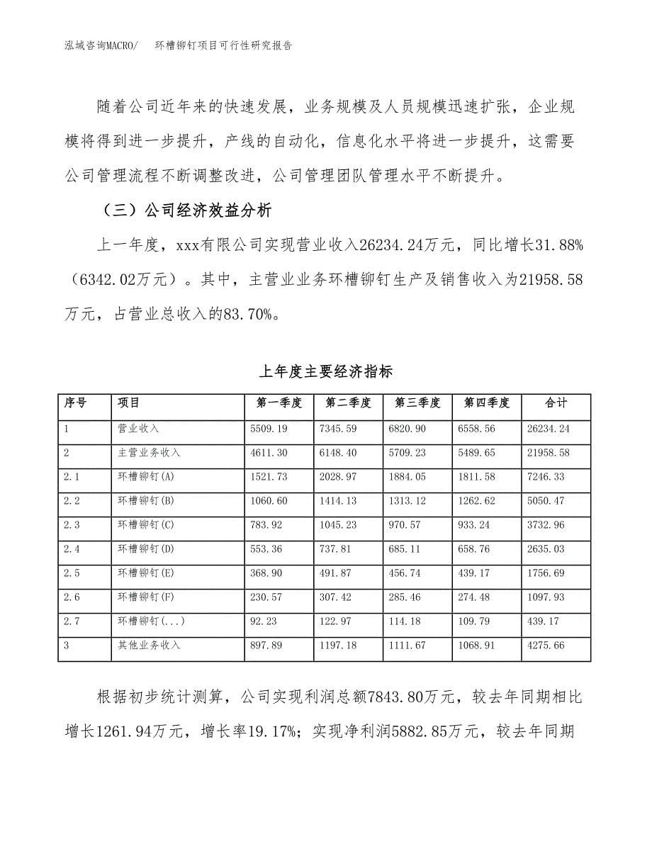 环槽铆钉项目可行性研究报告建议书.docx_第5页