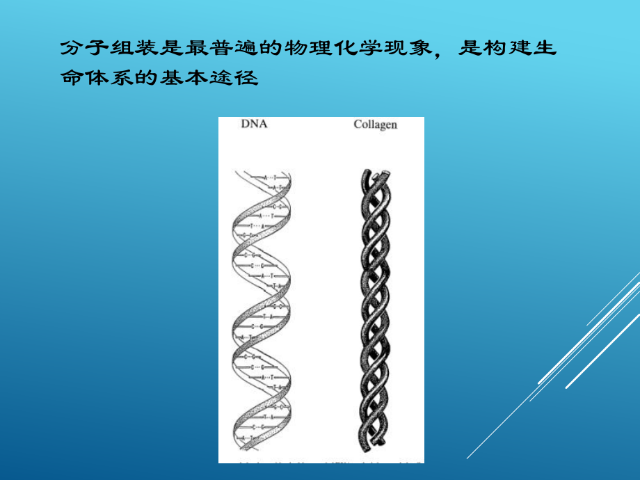 大分子自组装研究的相关进展_第2页