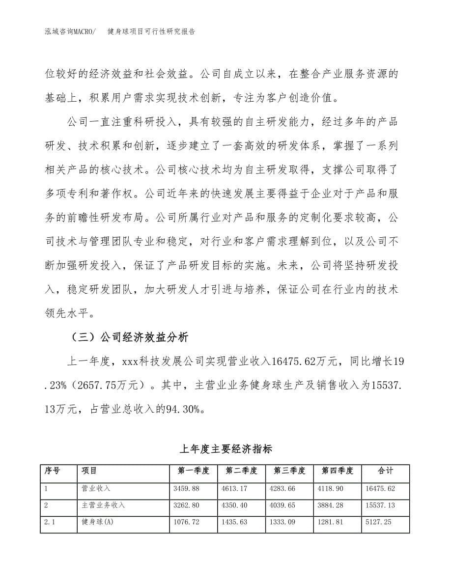 健身球项目可行性研究报告建议书.docx_第5页