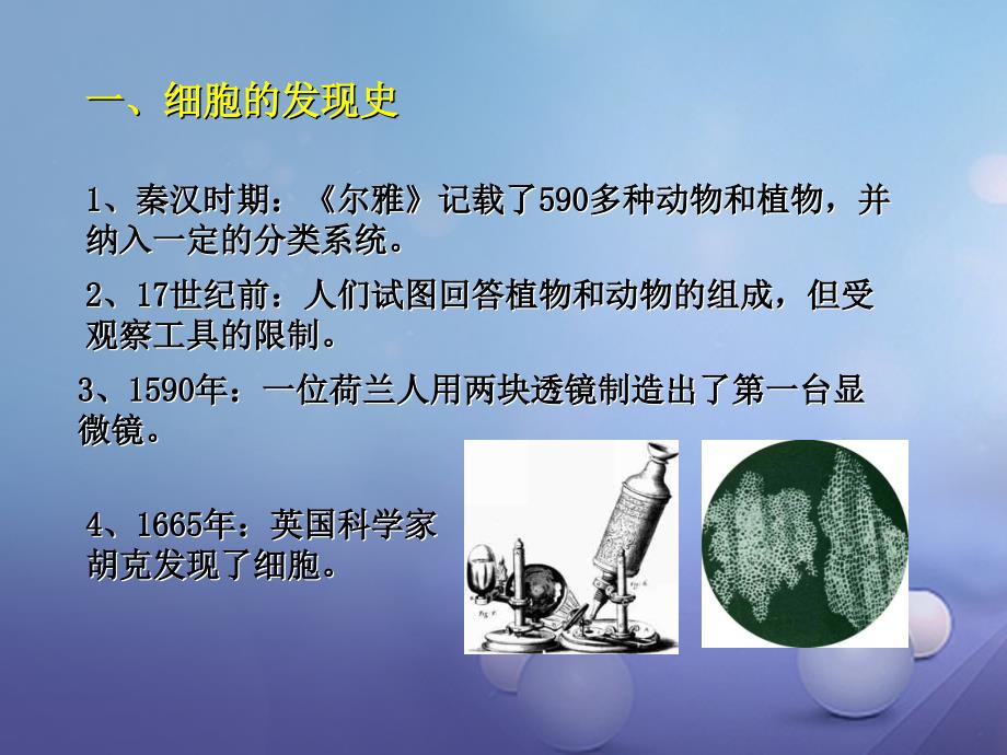 浙江省杭州市西湖区双浦镇七年级科学上册 2.2 细胞（1）课件 （新版）浙教版_第2页