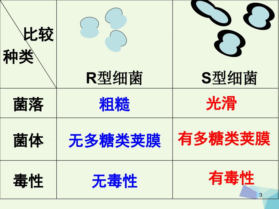 （水滴系列）高中生物 第三章 基因的本质 第1节 DNA是主要的遗传物质课件 新人教必修2_第3页