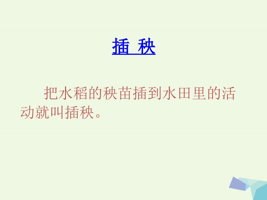 （2016年秋季版）一年级语文下册 3.2 插秧课件 北师大版_第3页