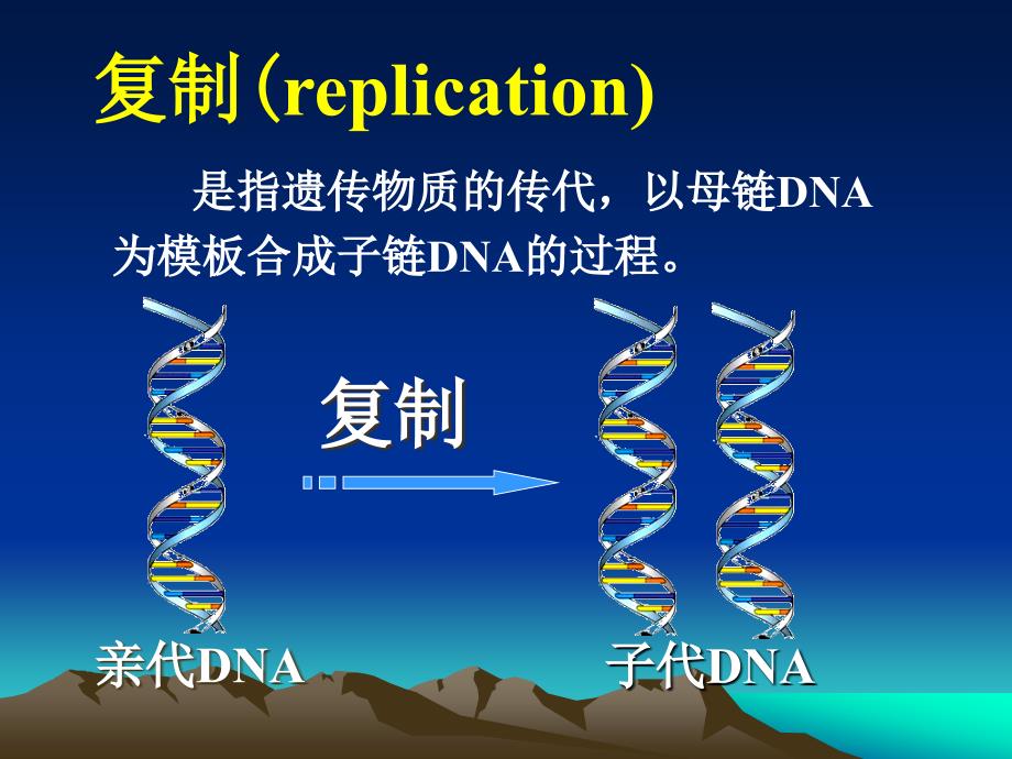 DNA的生物合成(复制)研究_第2页