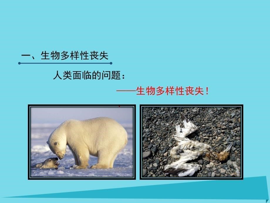 2017-2018学年高中生物 第一章 生物科学和我们 1.1 身边的生物科学课件1 苏教版必修3_第5页