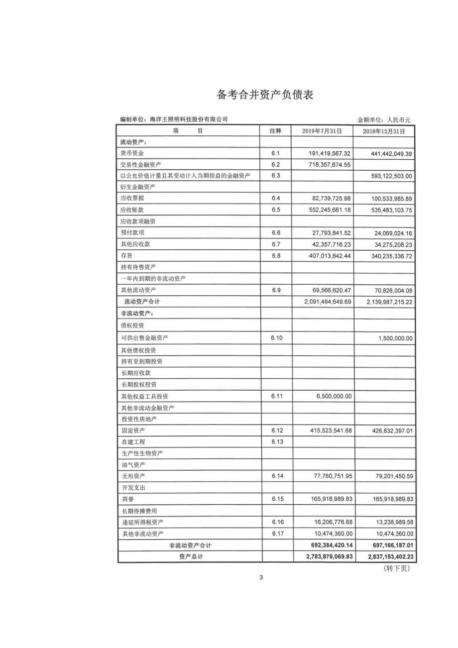 海洋王：审阅报告_第5页