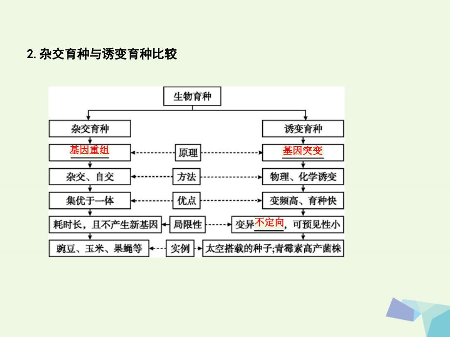 （水滴系列）高中生物 第七单元 生物的变异、育种和进化 第22讲 从杂交育种到基因工程课件_第4页