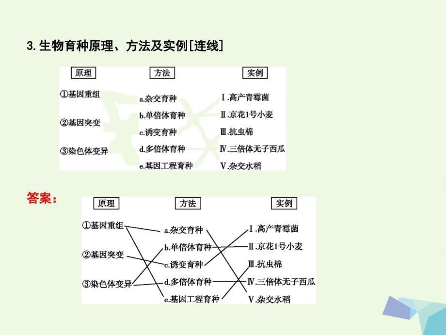 （水滴系列）高中生物 第七单元 生物的变异、育种和进化 第22讲 从杂交育种到基因工程课件_第5页