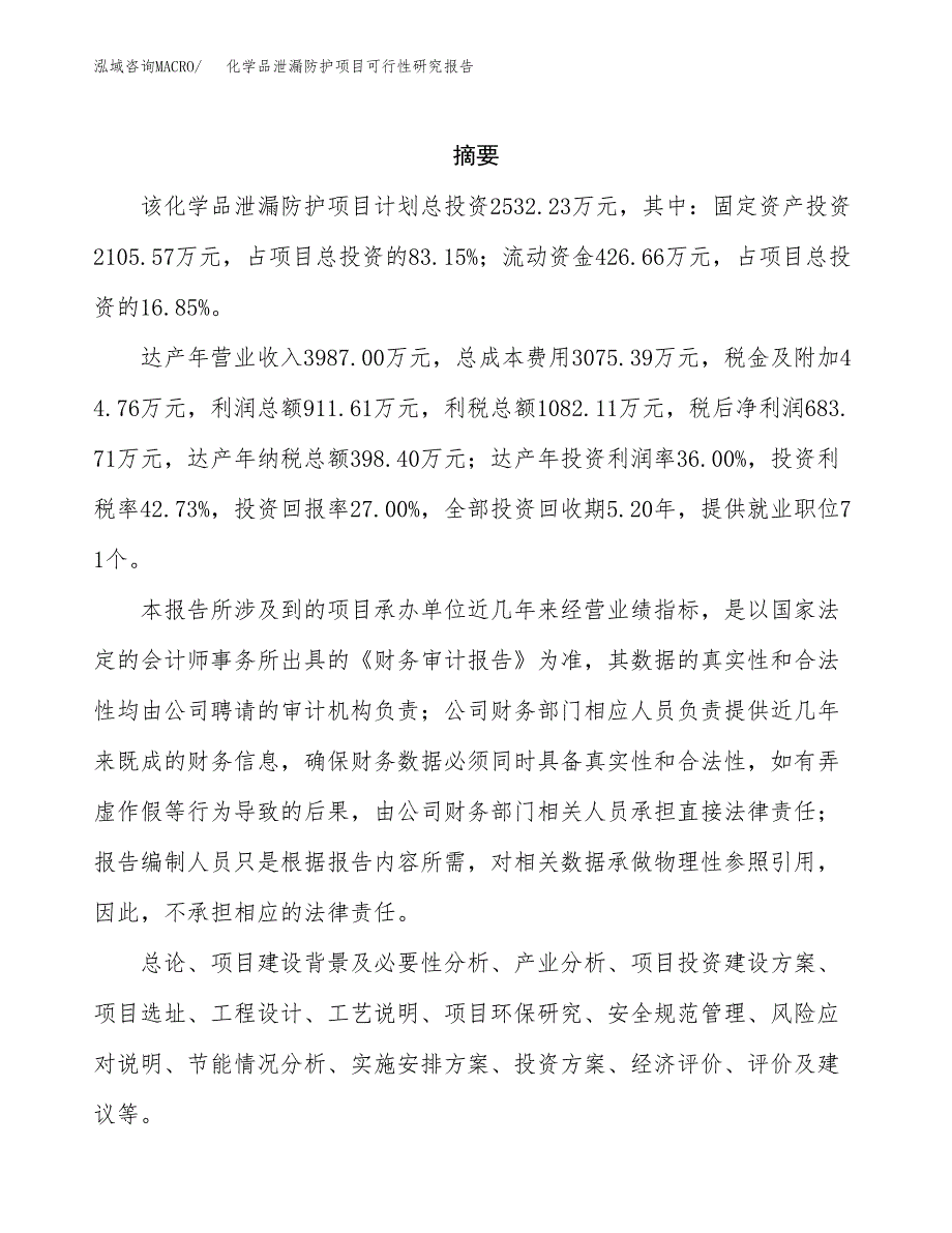 化学品泄漏防护项目可行性研究报告建议书.docx_第2页