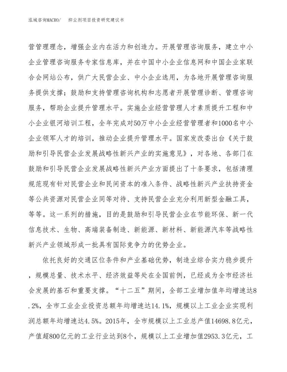 抑尘剂项目投资研究建议书.docx_第5页