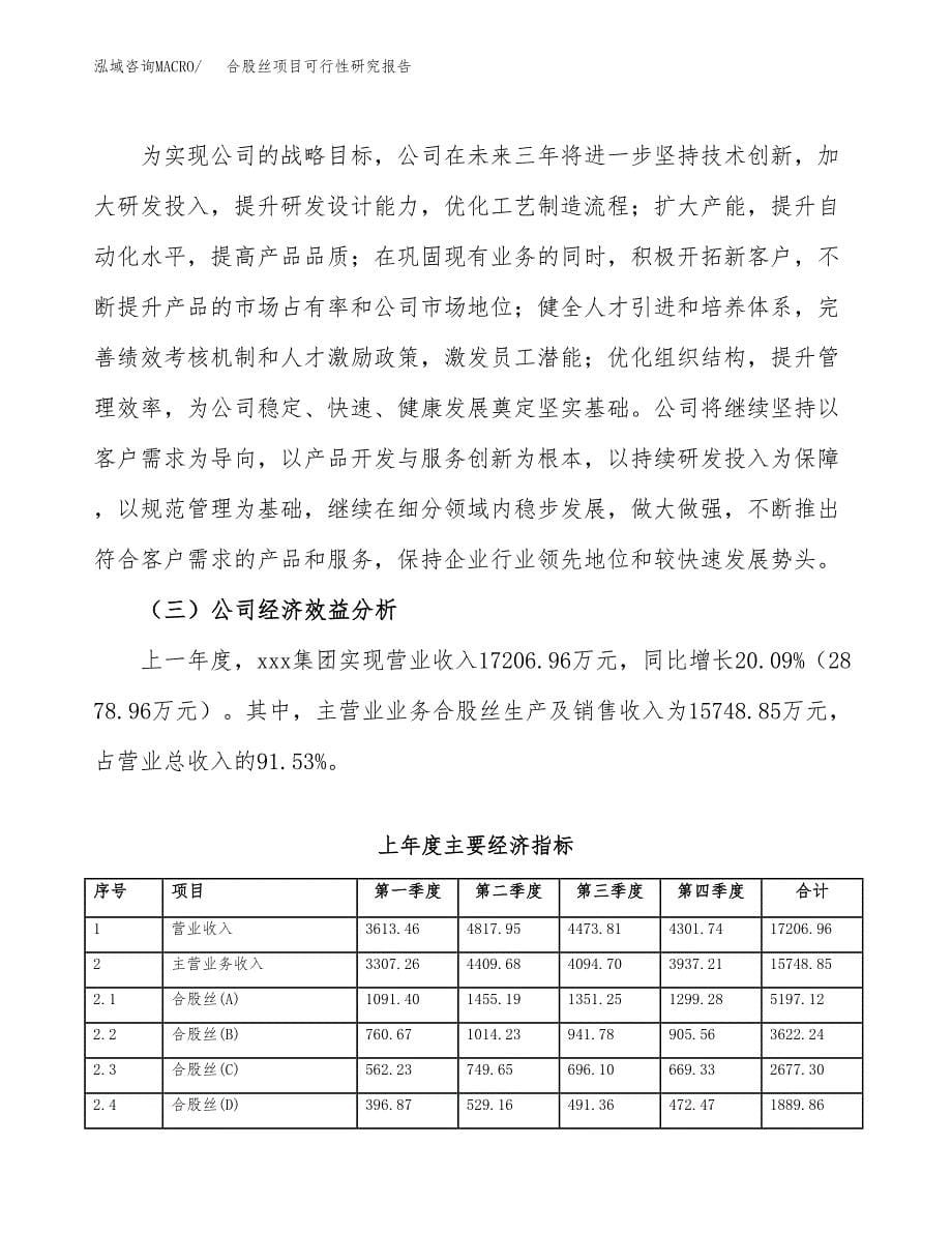 合股丝项目可行性研究报告建议书.docx_第5页