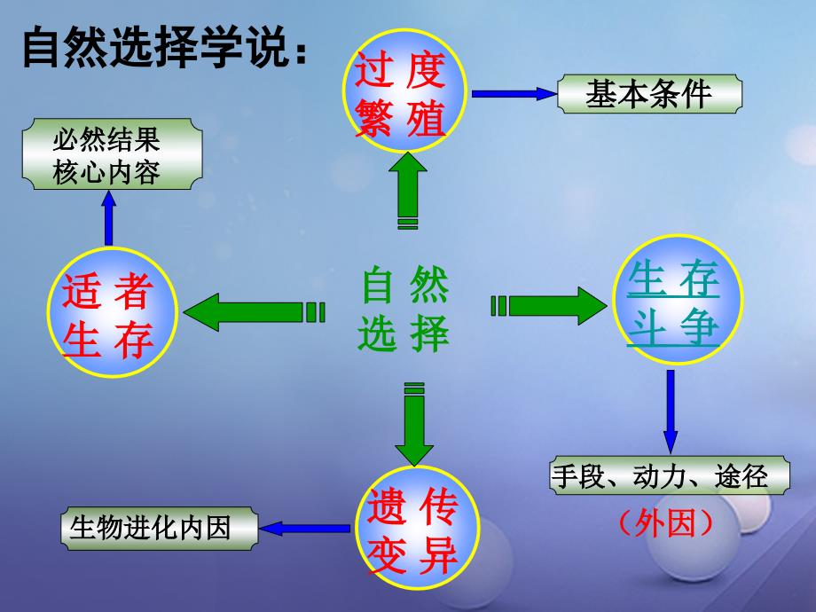 九年级科学下册 1.4《生物的进化》（第3课时）课件 （新版）浙教版_第3页