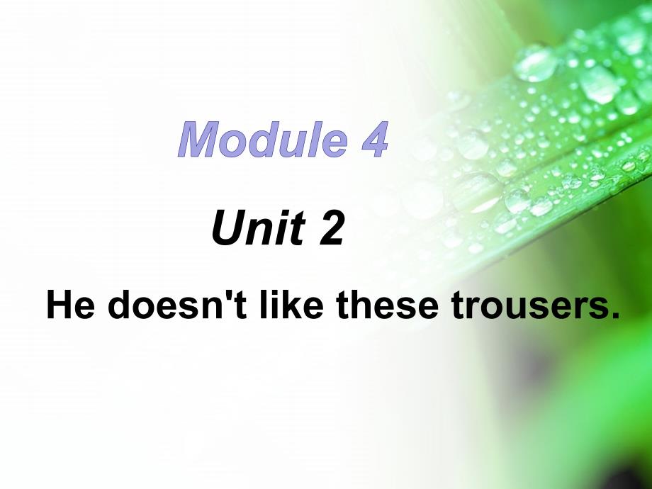 外研社（一起）二年级上册英语课件Module 4 Unit 2 He doesn’t like these trousers_第1页