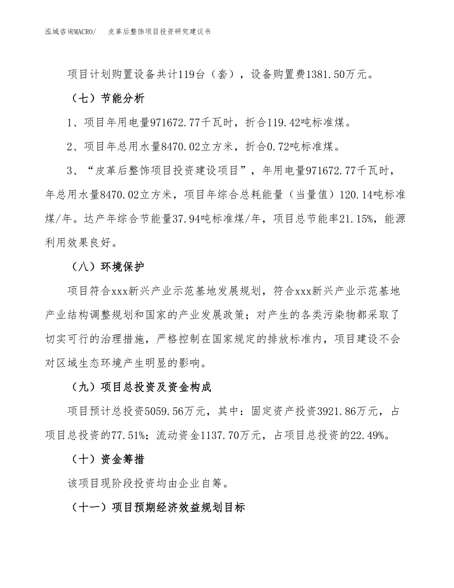 皮革后整饰项目投资研究建议书.docx_第2页