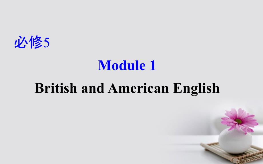 2018年高考英语一轮复习 Module 1 Deep South British and American English课件 外研版必修5_第1页