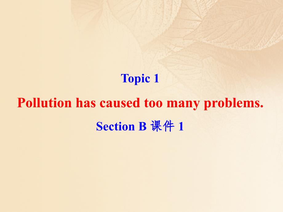 九年级英语上册 Unit 2 Saving the earth Topic 1 Pollution has causes too many problems Section B课件 （新版）仁爱版_第2页