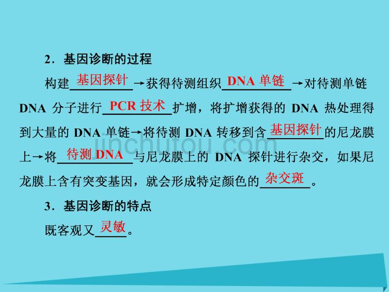 高中生物 第1章 生物科学与健康 第2节 基因诊断与基因治疗课件 新人教版选修2_第3页