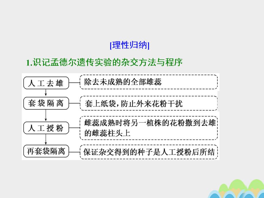 2017届高考生物一轮复习 第一单元 遗传的基本规律与伴性遗传 第一讲 孟德尔的豌豆杂交实验（一）课件（必修2）_第3页