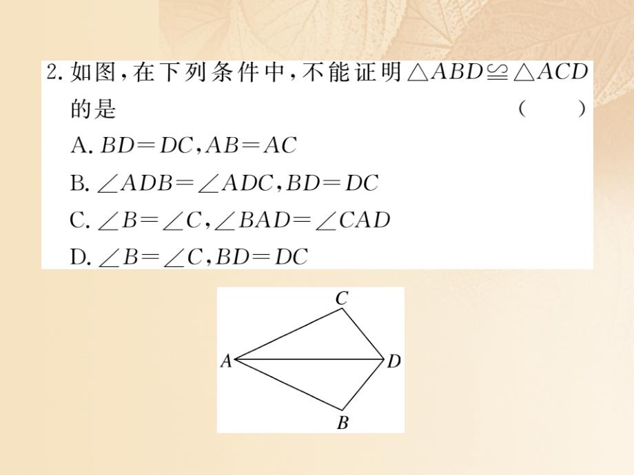 （通用）2017-2018学年八年级数学上册 2.5 全等三角形 第5课时 全等三角形的判定（SSS）作业课件1 （新版）湘教版_第3页