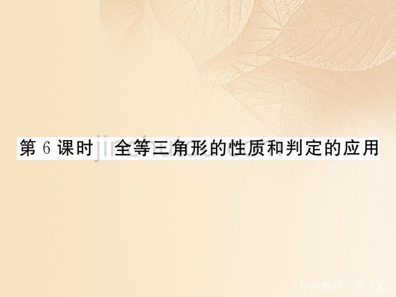 （通用）2017-2018学年八年级数学上册 2.5 全等三角形 第6课时 全等三角形的性质和判定的应用作业课件2 （新版）湘教版_第1页