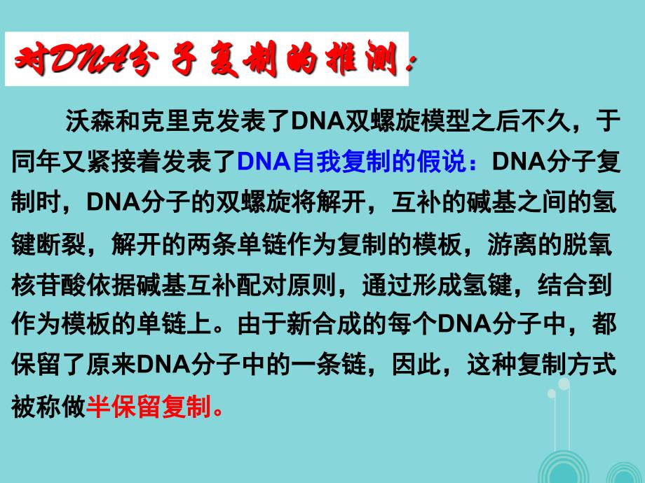 高中生物 3.3 DNA的复制课件 新人教版必修2_第3页