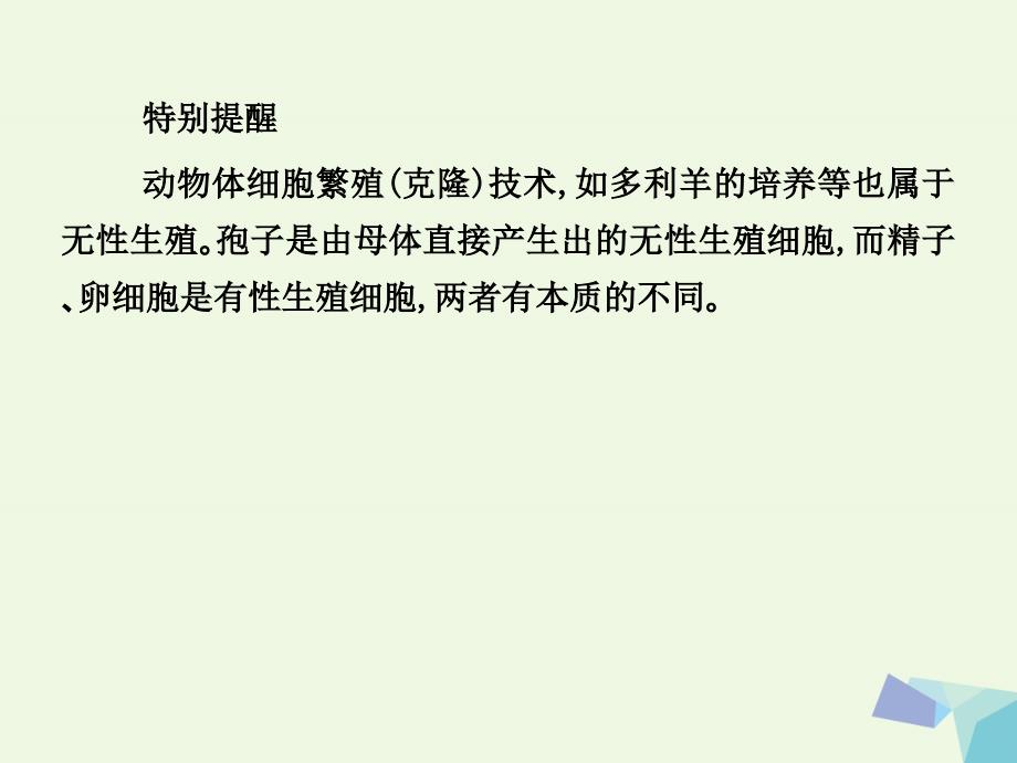 （临门一脚）高考生物三轮考前重点专题突破 专题二 生物的生殖与个体发育核心考点整合课件_第4页