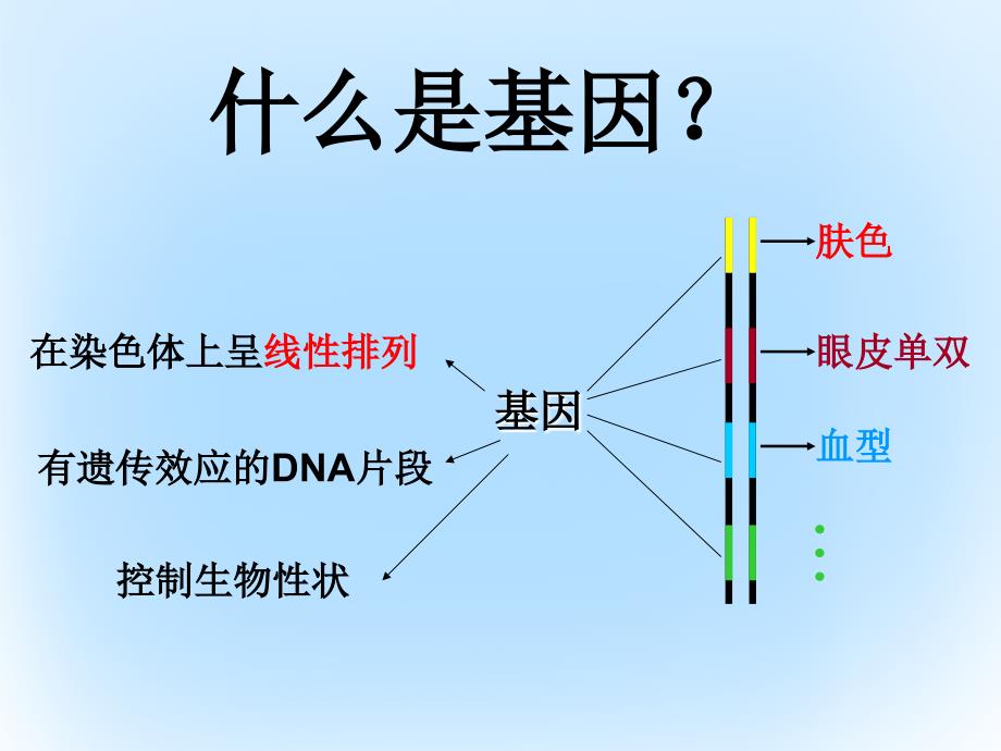 高中生物 第四章 基因的表达 4.1.1 基因指导蛋白质的合成教学课件 新人教版必修2_第2页