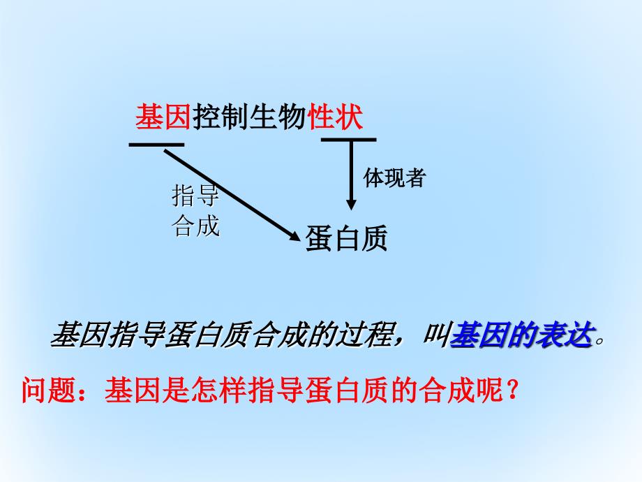 高中生物 第四章 基因的表达 4.1.1 基因指导蛋白质的合成教学课件 新人教版必修2_第3页