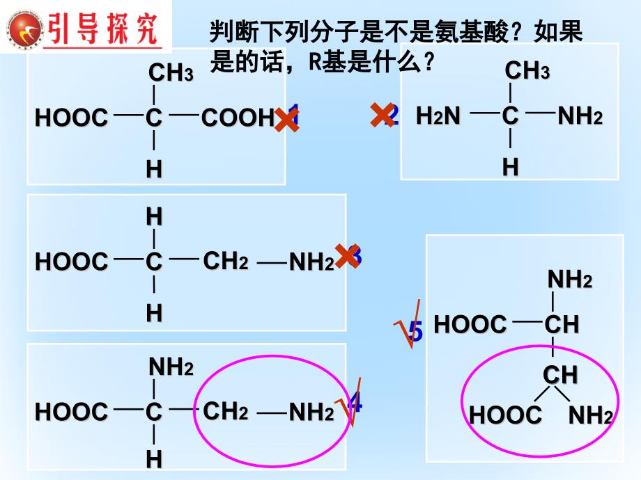 高中生物 第二章 组成细胞的分子 2.2 生命活动的主要承担者-蛋白质（第1课时）课件 新人教版必修1_第4页