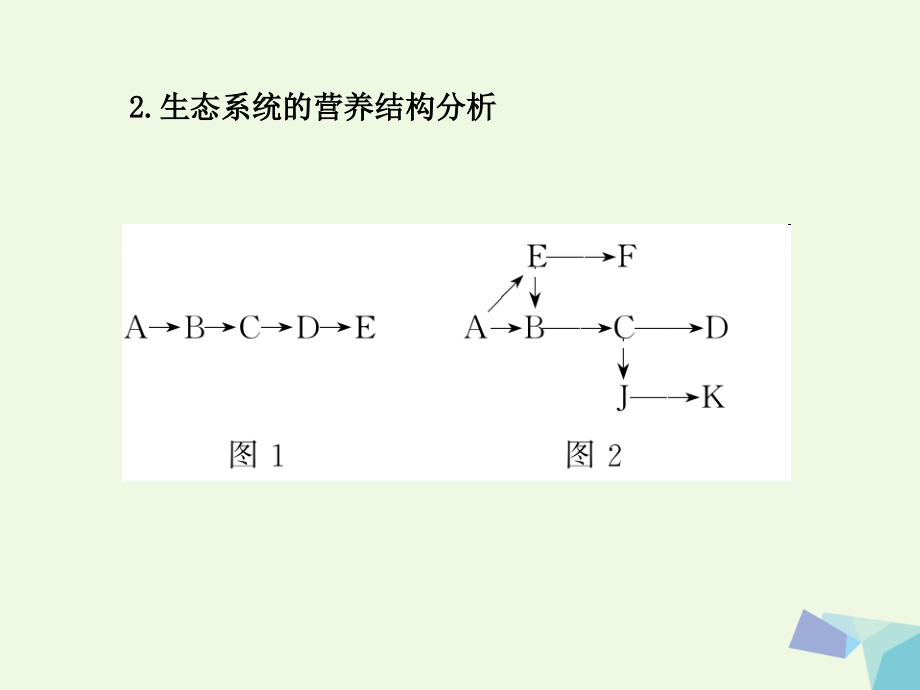 （临门一脚）高考生物三轮考前重点专题突破 专题二 生态系统与环境保护课件_第4页