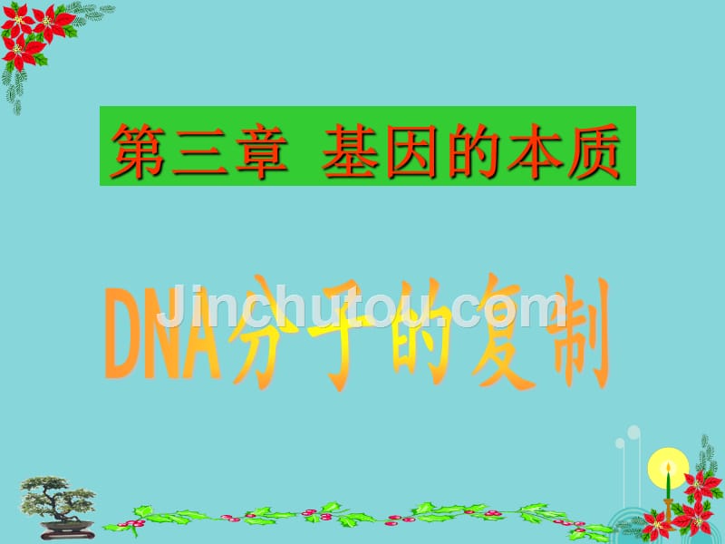 湖南省高中生物 3.3 DNA分子的复制课件 新人教版必修2_第1页