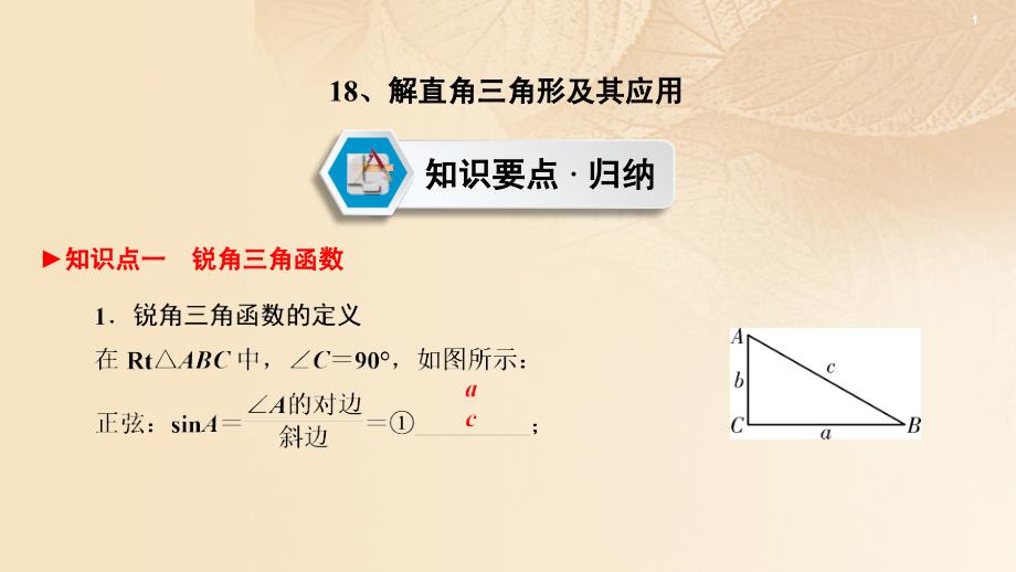 江西省2017中考数学 第一部分 教材同步复习 第四章 三角形及应用 18 解直角三角形及其应用课件 新人教版_第2页