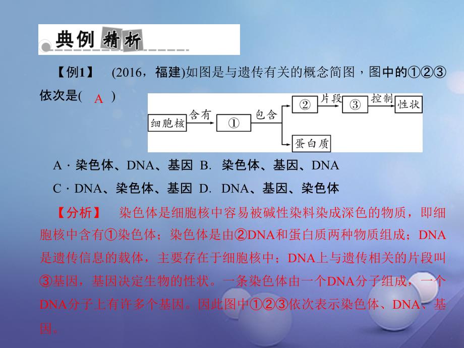 浙江省2017届中考科学复习 专题八 生命系统的结构层次课件_第4页