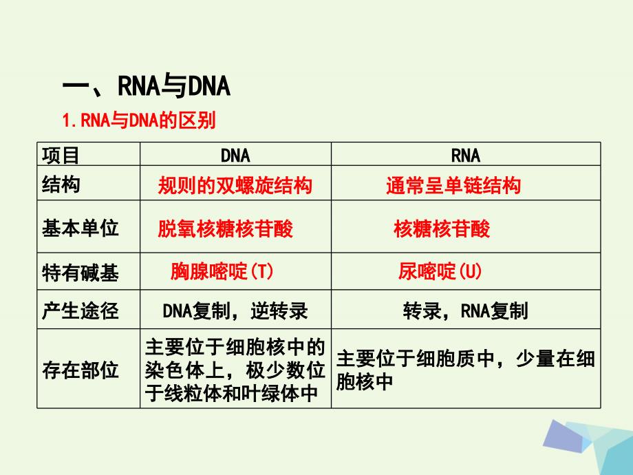 高中生物 第4章 达基因的表达复习课件 新人教版必修2_第2页