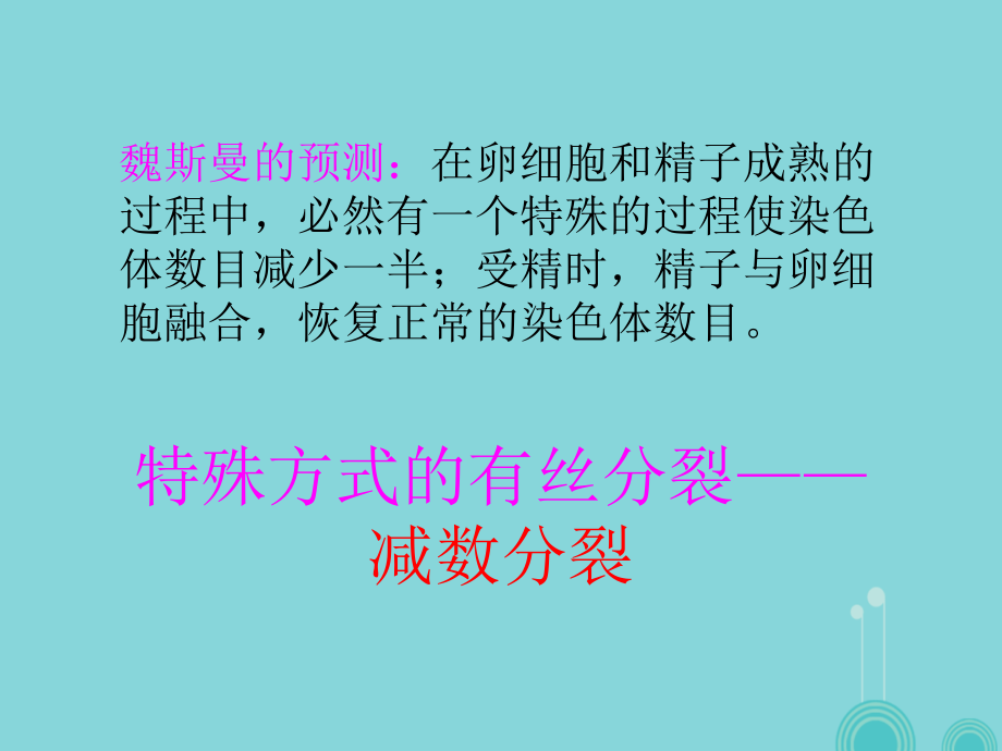 高中生物 第二章 第一节 减数分裂和受精作用课件 新人教版必修2_第2页