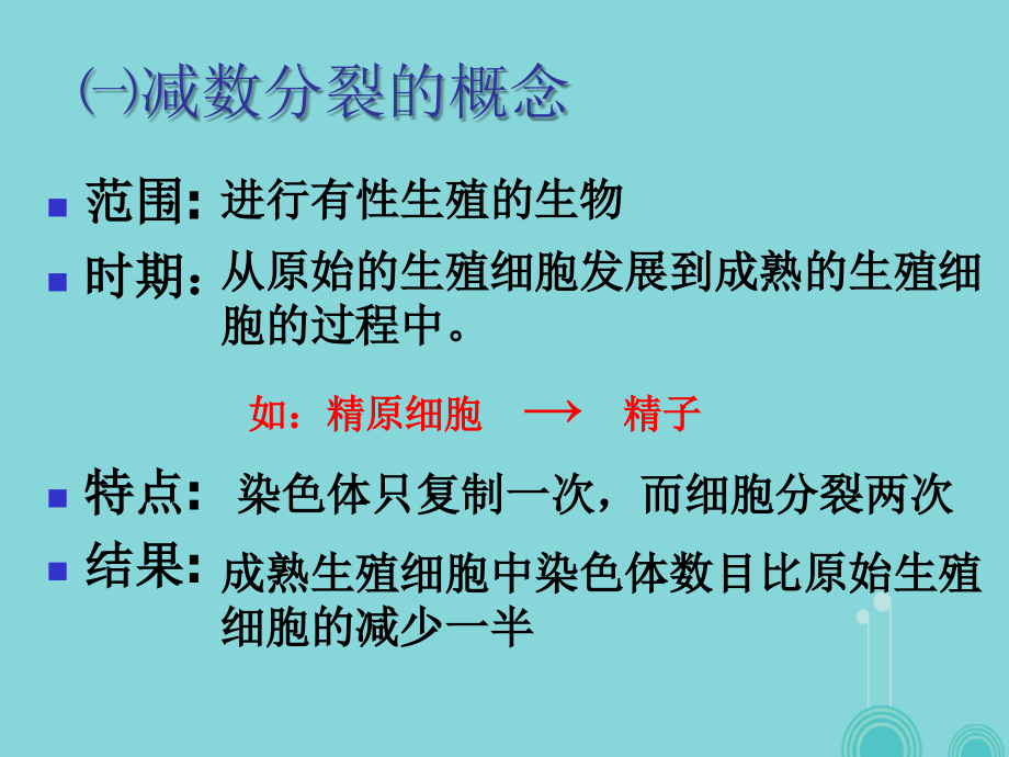 高中生物 第二章 第一节 减数分裂和受精作用课件 新人教版必修2_第3页