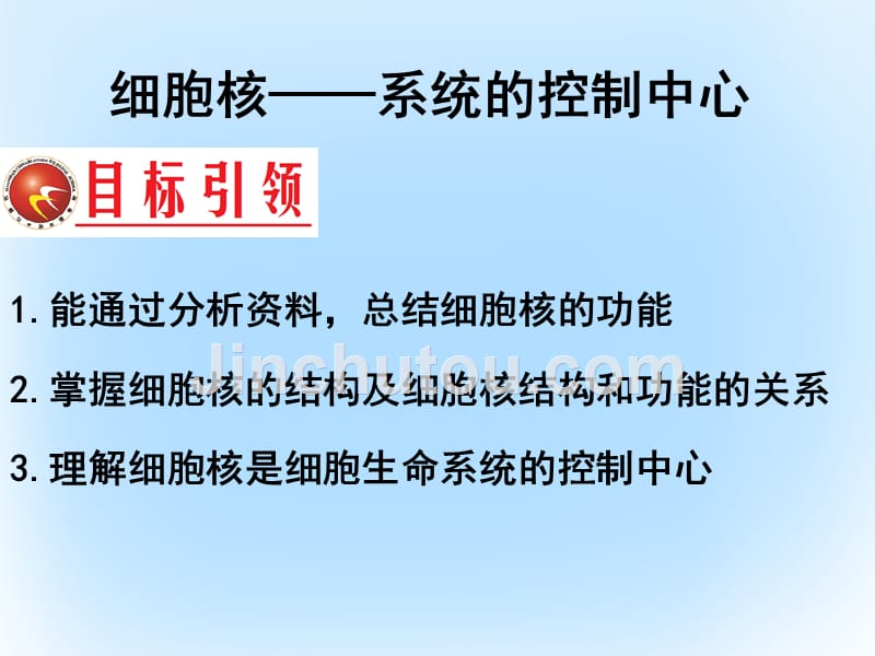 高中生物 第三章 细胞的基本结构 3.3 细胞核-系统控制的中心课件 新人教版必修1_第2页