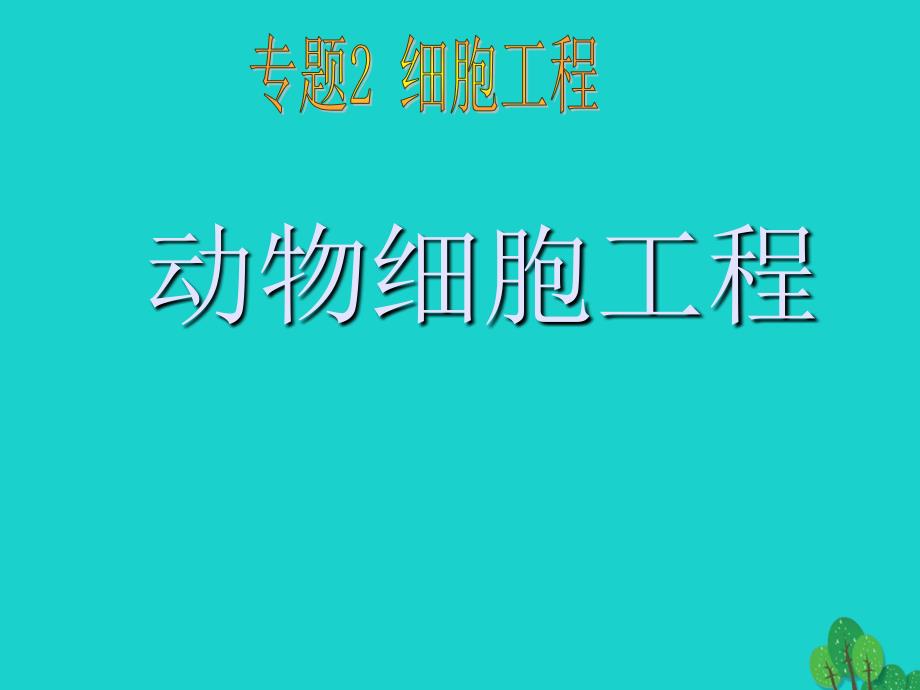 高中生物 专题2 细胞工程 2.2 动物细胞工程课件 新人教版选修3_第1页