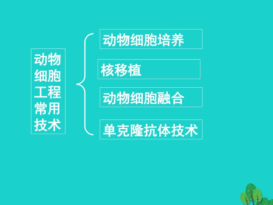 高中生物 专题2 细胞工程 2.2 动物细胞工程课件 新人教版选修3_第2页