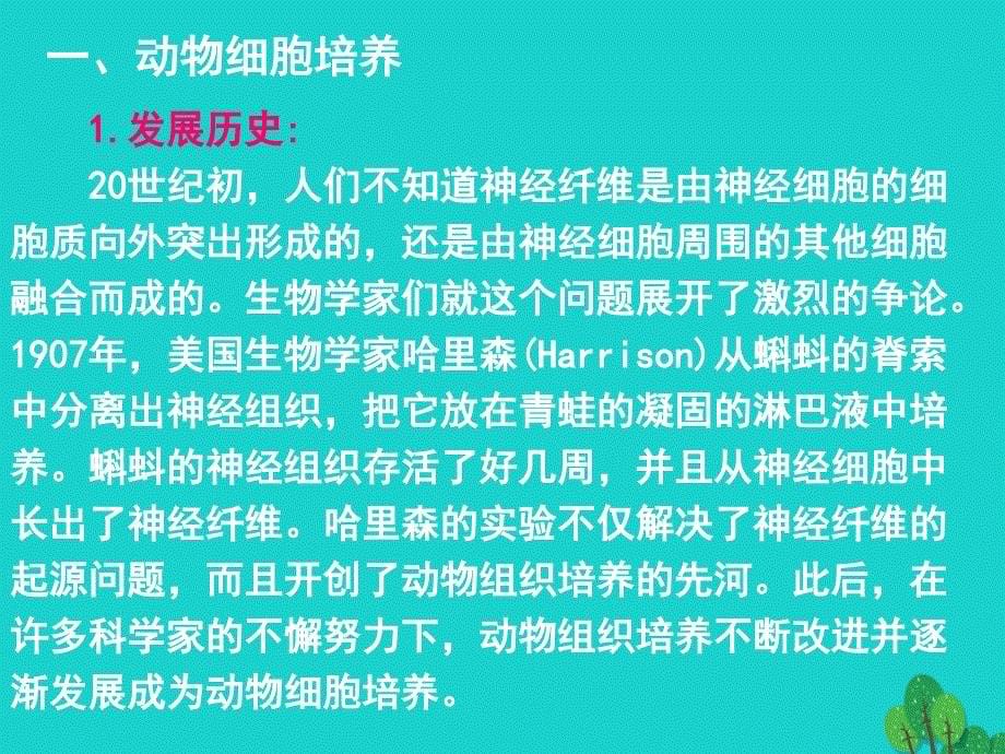 高中生物 专题2 细胞工程 2.2 动物细胞工程课件 新人教版选修3_第5页