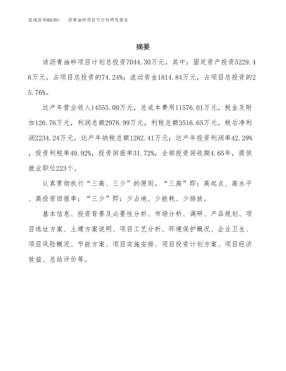 沥青油砂项目可行性研究报告建议书.docx_第2页