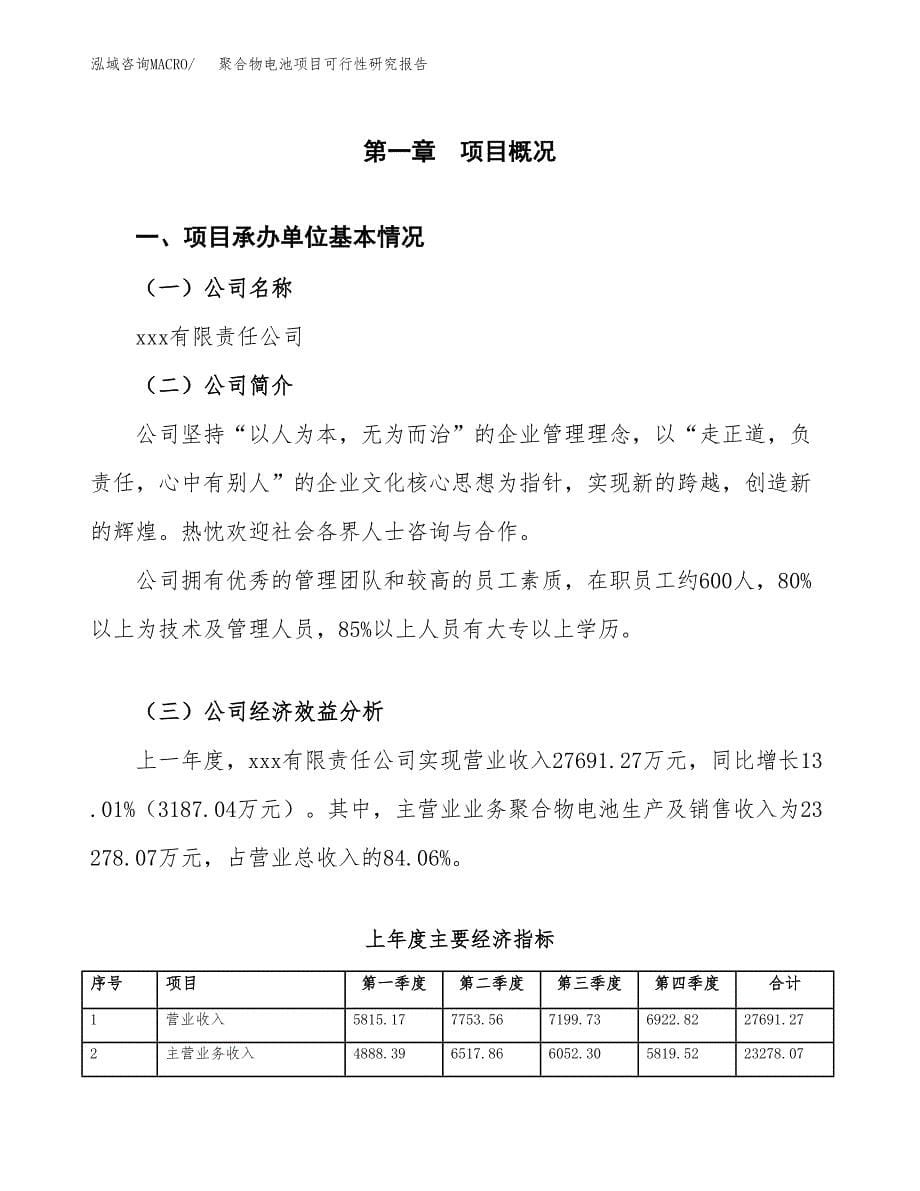 聚合物电池项目可行性研究报告建议书.docx_第5页