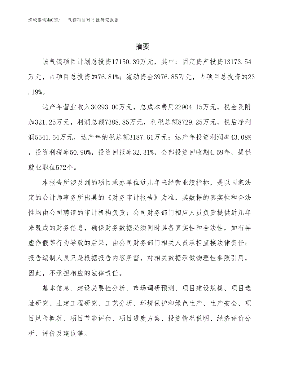 气镐项目可行性研究报告建议书.docx_第2页